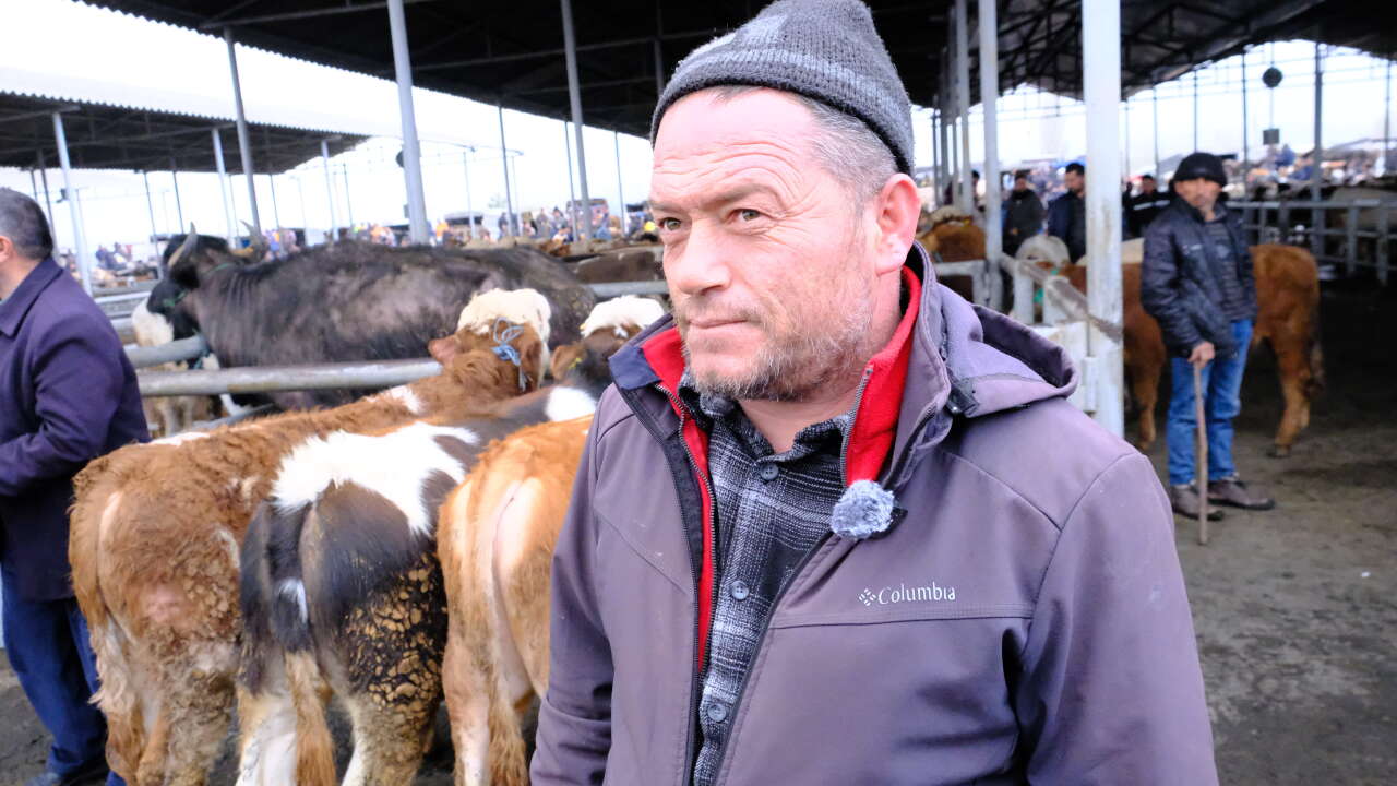 Türkiye’nin en büyük hayvan pazarında kurbanlık hareketliliği başladı 3